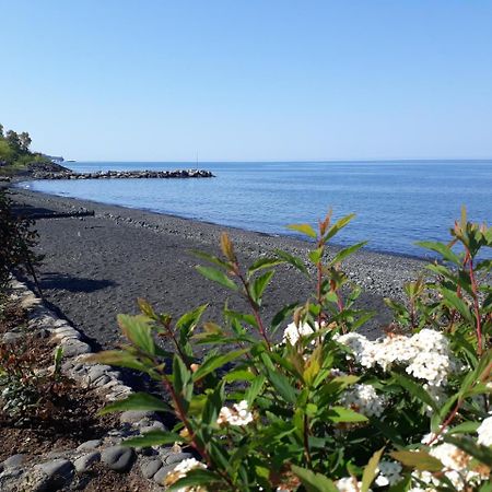Pasa Tatil Koeyue Akcaabat 外观 照片